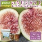 いちじく セミドライフルーツ 50g×1袋