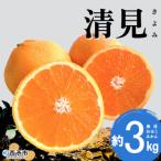 おはこやがつくる 清見 約3kg果物 フルーツ
