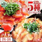 これが魚屋の漬け丼だ 魚屋のおまかせ5種漬け丼セット