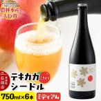 未来を育てるりんごのお酒 テキカカシードル