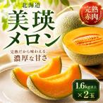 メロン 赤肉品種 2玉