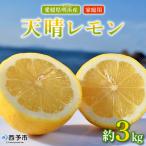 天晴レモン ご 約3kg