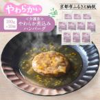 介護食 やわらか煮込みハンバーグ 10個