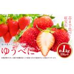 ゆうべに 約1kg