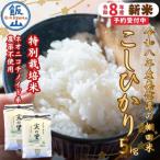 特別栽培米 こしひかり 5kg