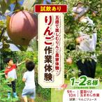 体験型 りんご作業体験 葉取り 玉まわし 9~10月