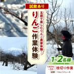りんご作業体験 葉取り 玉まわし 9~10月