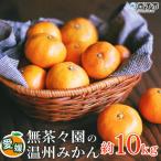 <自然派日向夏 ご 約10kg