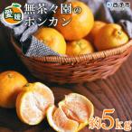 <無茶々園のポンカン 5g>