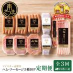 マイスター山野井 ハム ソーセージ 5種