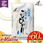 石川米 こしひかり 米 10kg