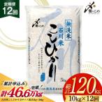 石川米 こしひかり 米 10kg