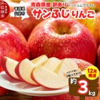 りんご サンふじ 約3kg
