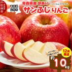 りんご サンふじ 約10kg