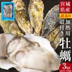 牡蠣 訳あり 無選別 3kg