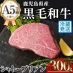A5 黒毛和牛 極厚 シャトーブリアン 計300g