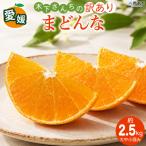紅まどんなと同品種 2026年12月に