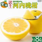 < 河内晩柑 約8kg