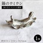 錫のウミウシ 西原佑騎