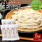 山里あいおい 生うどん 1袋2人前 5袋入り