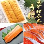エゾバフンウニ約100g サーモン 塩銀鮭切身10切
