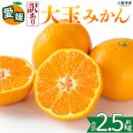 <木下さんちのまどんな 約2.5kg