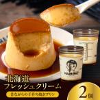 フレッシュクリームプリン 2個 セット_H0052-105