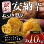 さつまいも 熟成 安納芋 約10kg