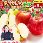 りんご サンふじ 王林 詰め合わせ 約3kg