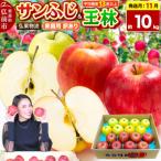 りんご サンふじ 王林 詰め合わせ 約10kg