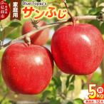 りんご サンふじ 約5kg
