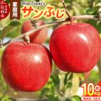りんご サンふじ 約10kg