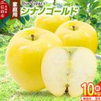 りんご シナノゴールド 約10kg