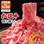 松阪牛 切り落とし 400g