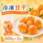 冷凍甘平 500g×2袋