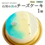 ケーキ カステラ チーズケーキ 石垣の海のチーズケーキ