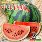 スイカ < 中玉西瓜 2玉> 果物