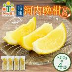 冷凍 河内晩柑 皮付き 500g×4袋