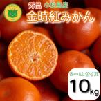 みかん 10kg