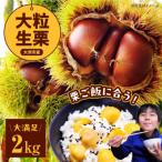 産高級和栗 大粒生栗 2kg