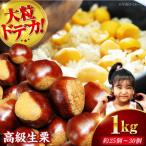 ドデカ生栗 1kg