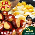 ドデカ生栗 2kg