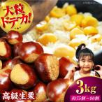 ドデカ生栗 3kg