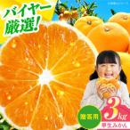 早生みかん 3kg