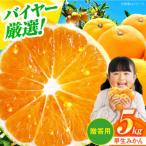 早生みかん 5kg