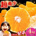 甘平 4kg