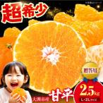 甘平 2.5kg