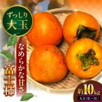 富士柿 10kg