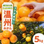温州 みかん 南柑20号 5kg