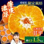 愛媛オリジナル柑橘 甘平 5から6個 1.2kg-1.5kg